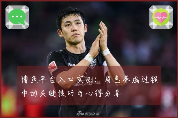 博鱼平台入口实测：角色养成过程中的关键技巧与心得分享