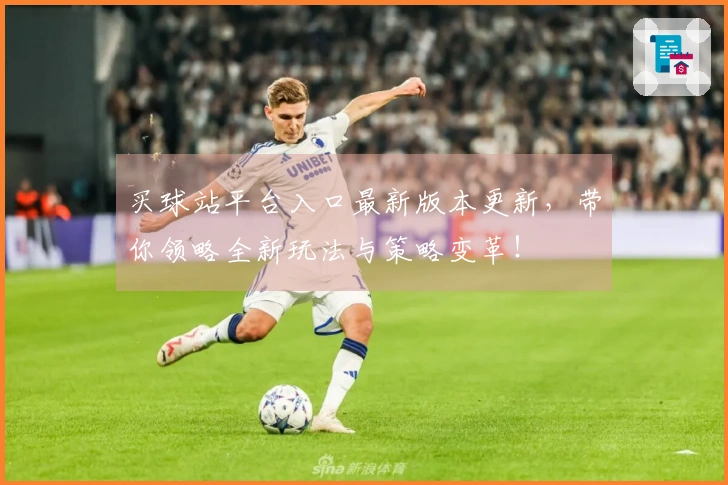 买球站平台入口最新版本更新，带你领略全新玩法与策略变革！